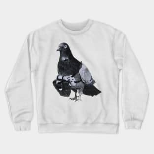 Flying Pigeon with Miniature Pigeon Camera Drone Photography Crewneck Sweatshirt